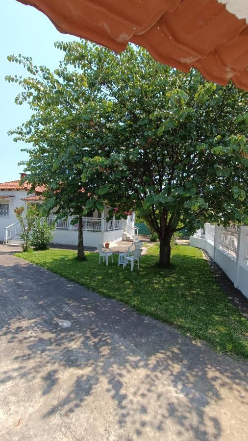 Vasiliki'S Guest House Vergia Екстериор снимка